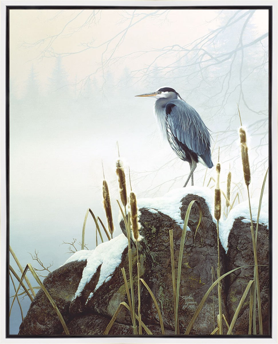 Morning Solitude