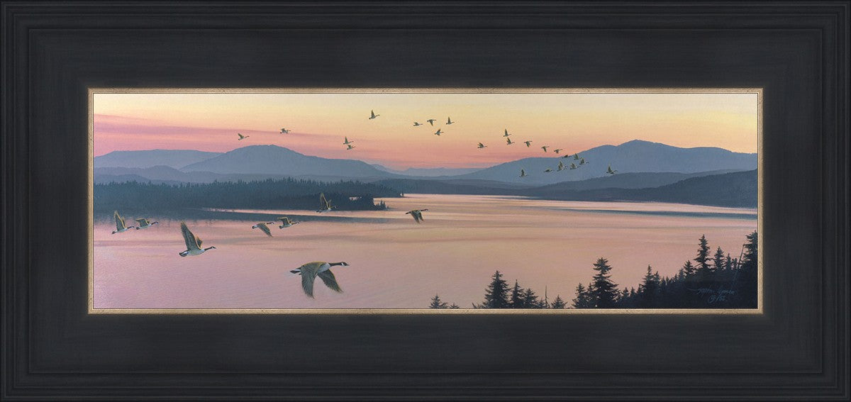 Sounds of Sunset