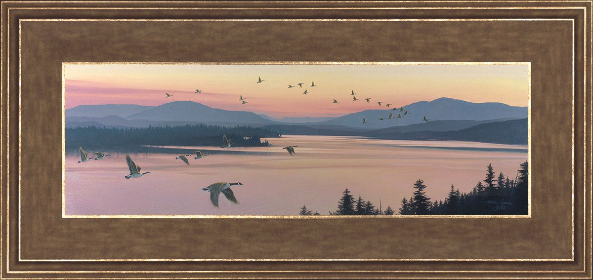 Sounds of Sunset