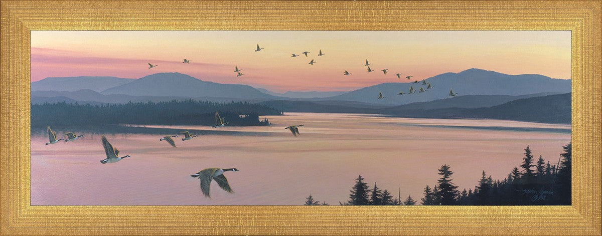 Sounds of Sunset