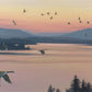 Sounds of Sunset
