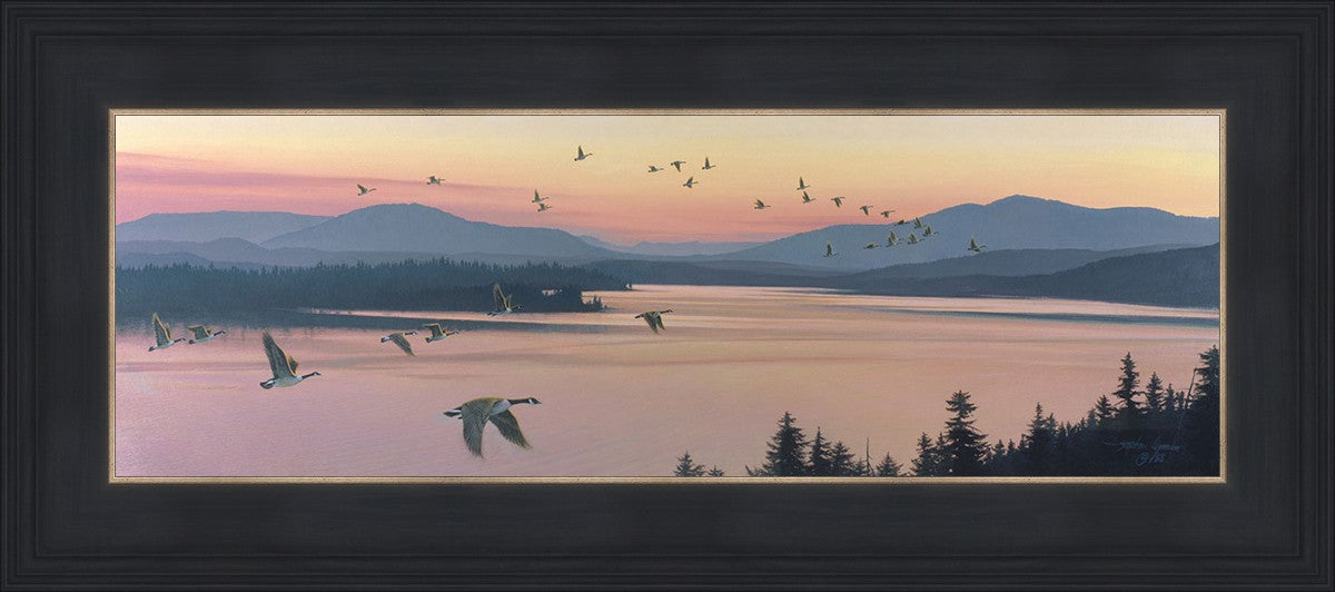 Sounds of Sunset