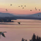 Sounds of Sunset