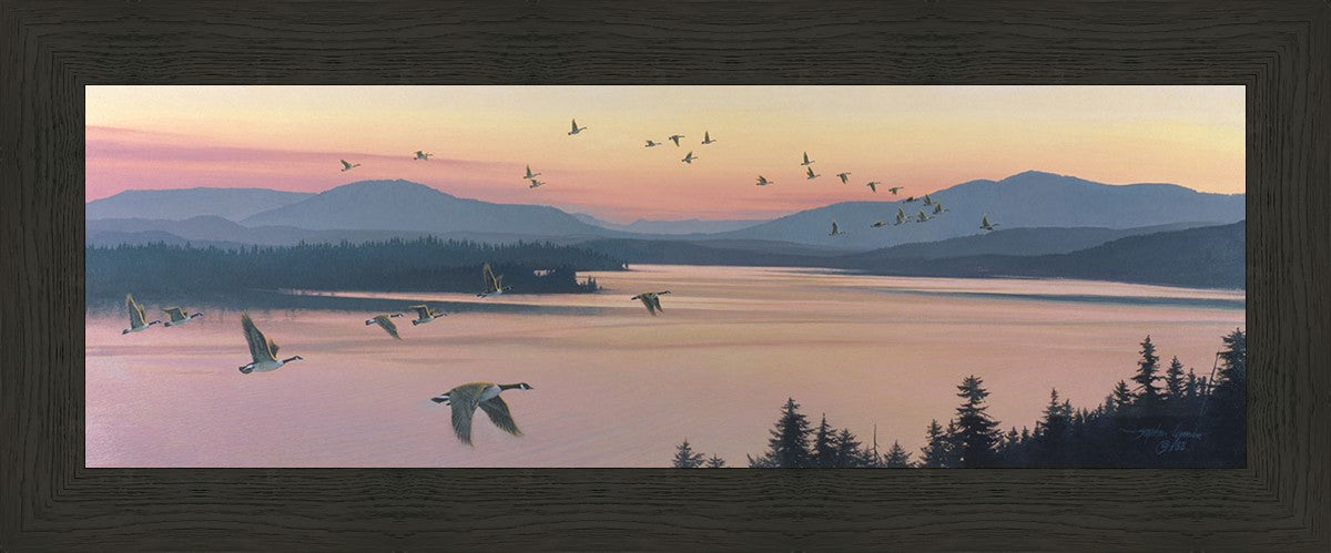 Sounds of Sunset