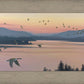 Sounds of Sunset