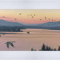 Sounds of Sunset