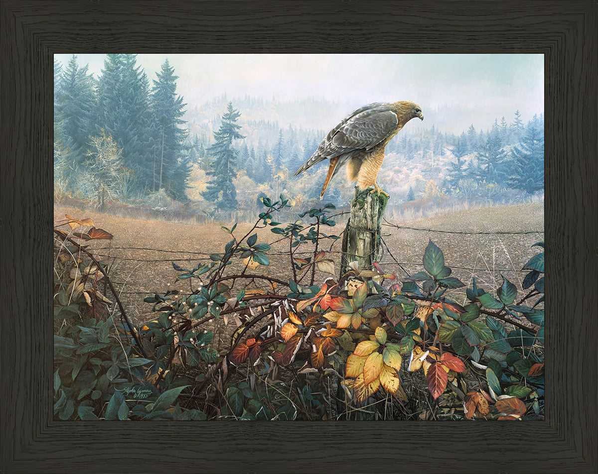 The Raptor's Watch