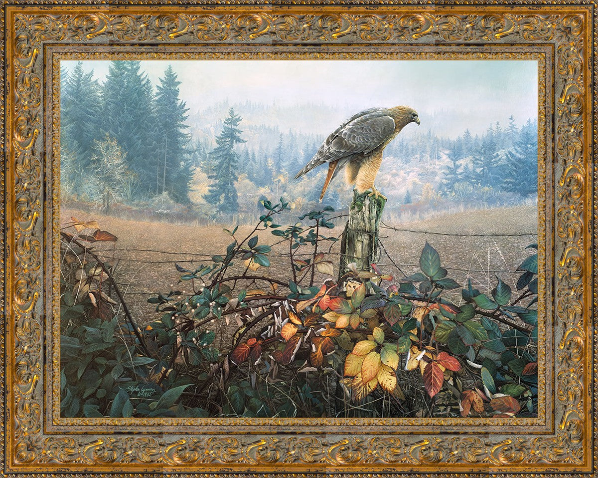 The Raptor's Watch