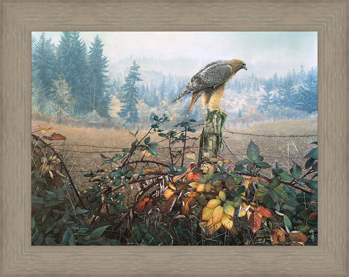 The Raptor's Watch