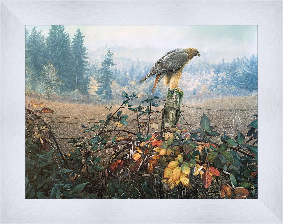 The Raptor's Watch