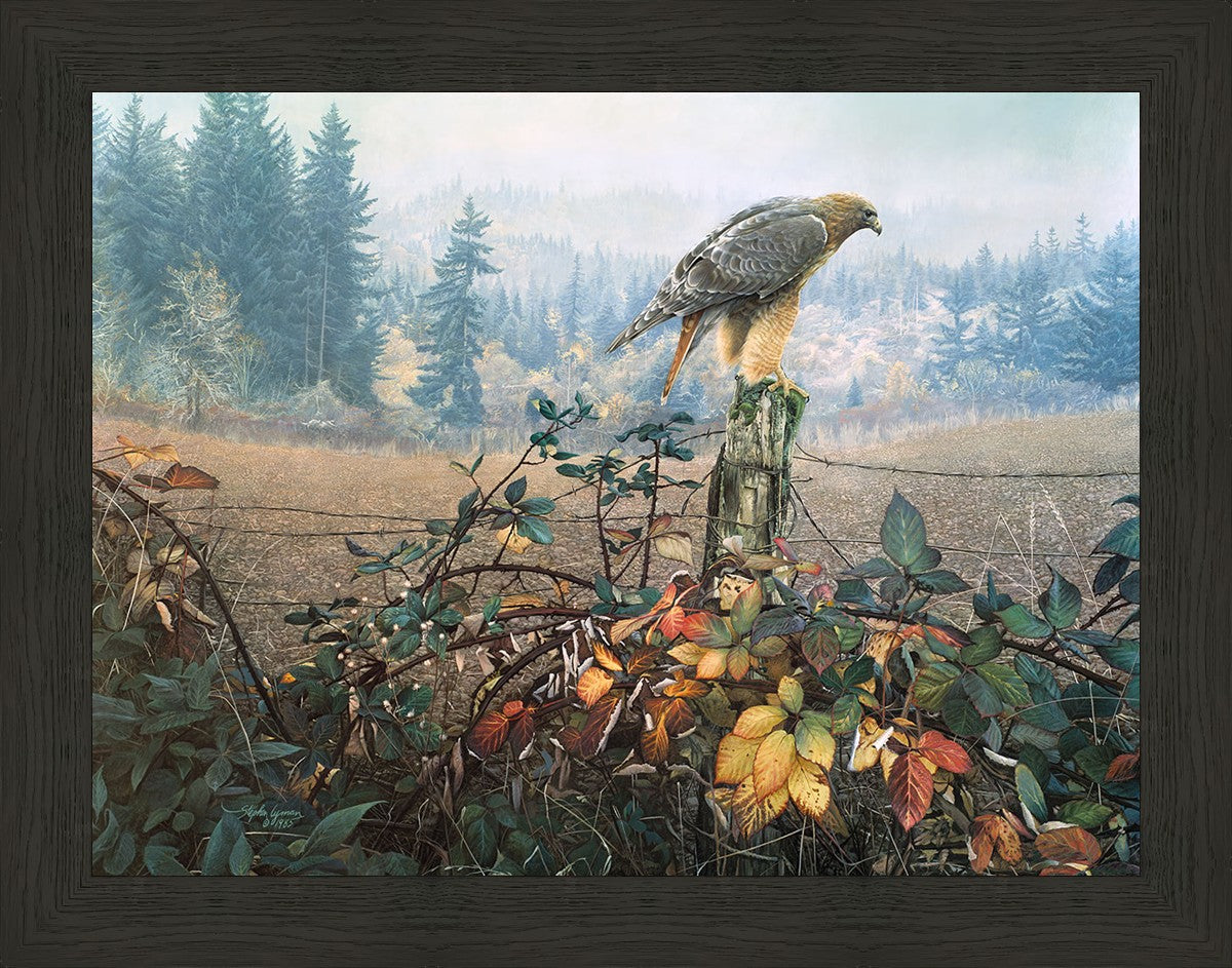 The Raptor's Watch