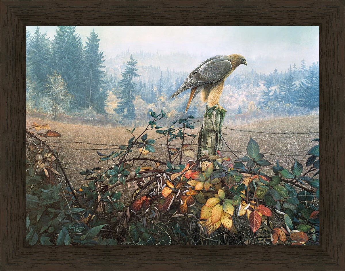 The Raptor's Watch