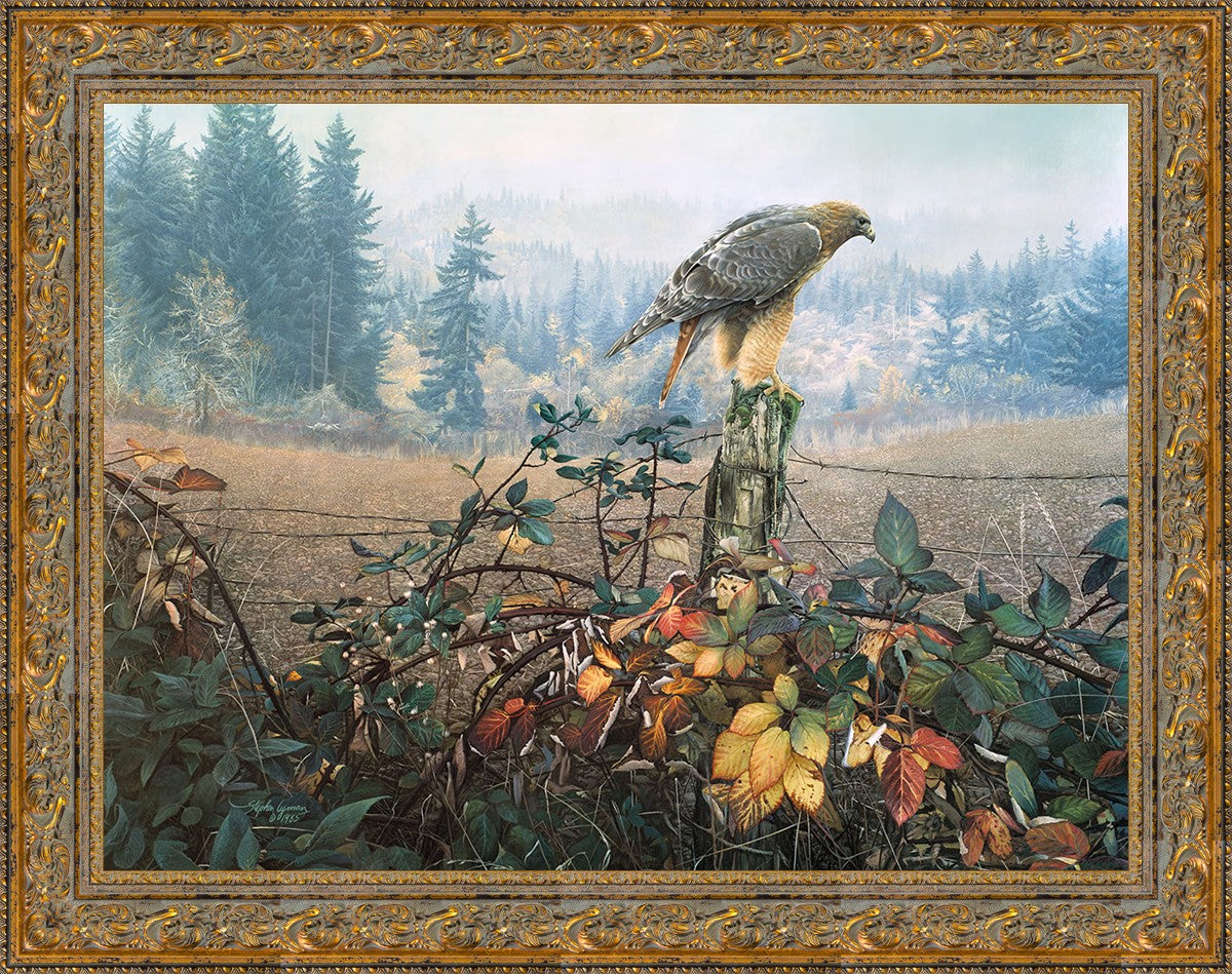 The Raptor's Watch