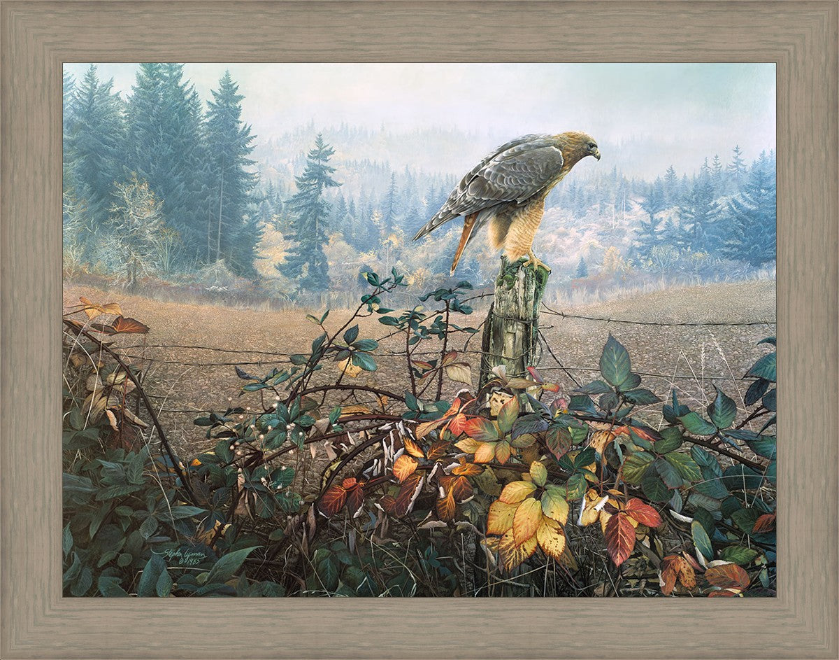 The Raptor's Watch