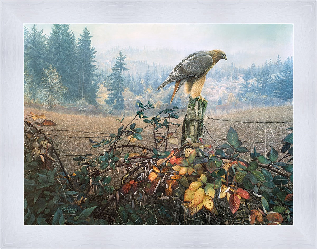 The Raptor's Watch