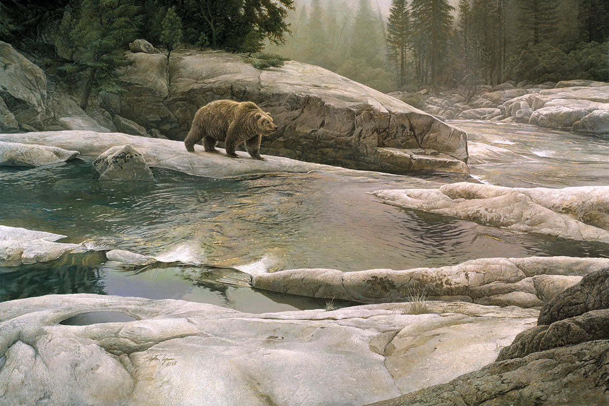 Uzumati - Great Bear of Yosemite