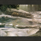 Uzumati - Great Bear of Yosemite