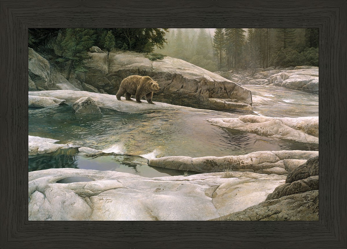 Uzumati - Great Bear of Yosemite