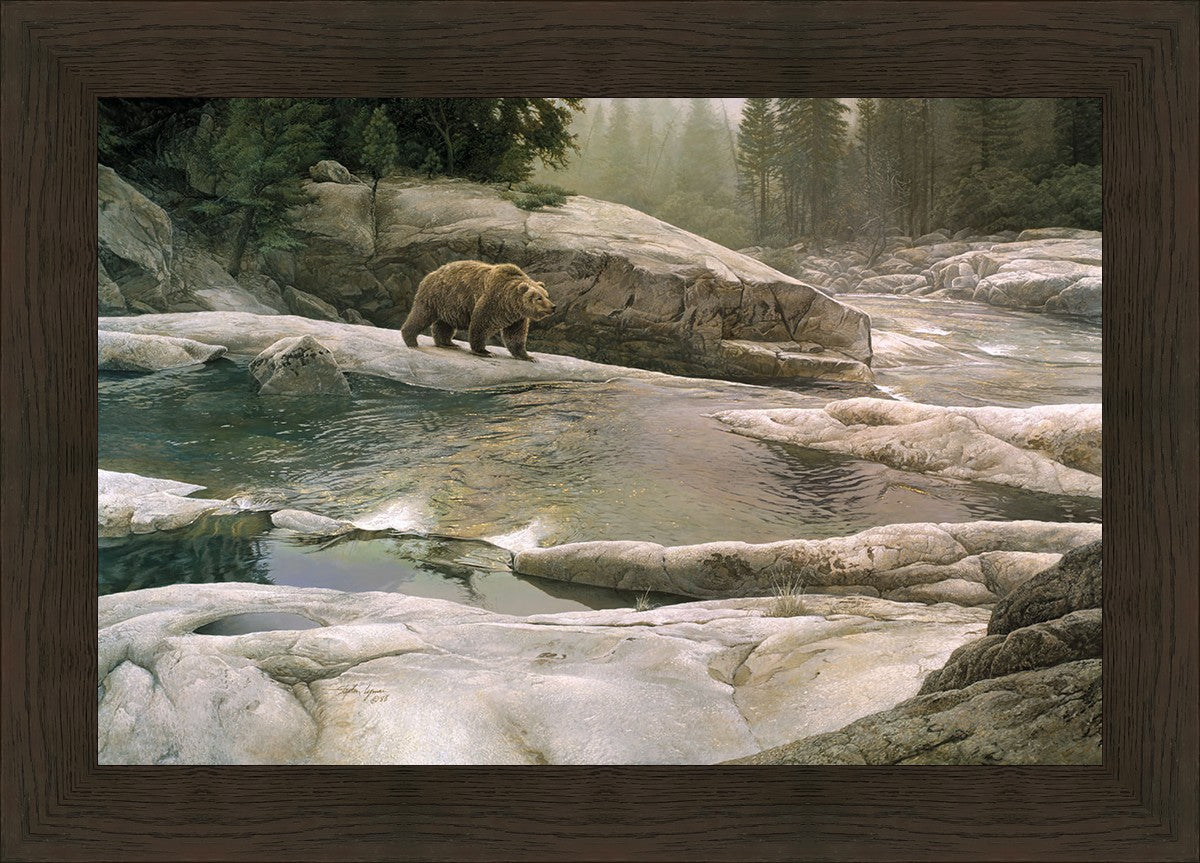 Uzumati - Great Bear of Yosemite