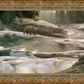 Uzumati - Great Bear of Yosemite