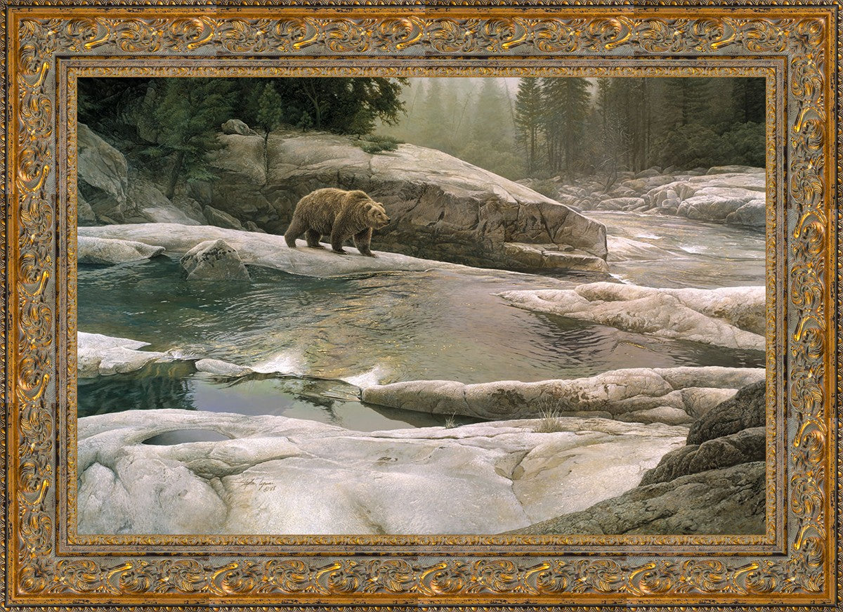Uzumati - Great Bear of Yosemite