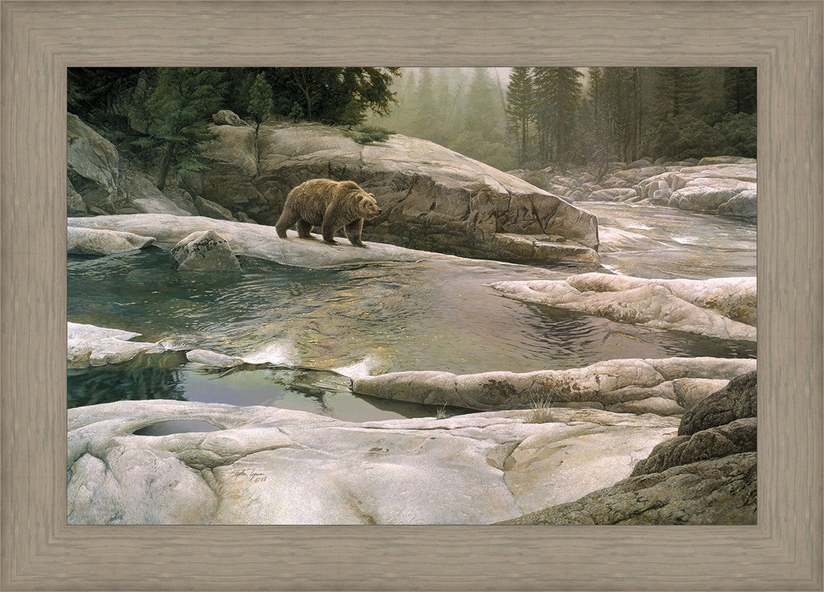 Uzumati - Great Bear of Yosemite
