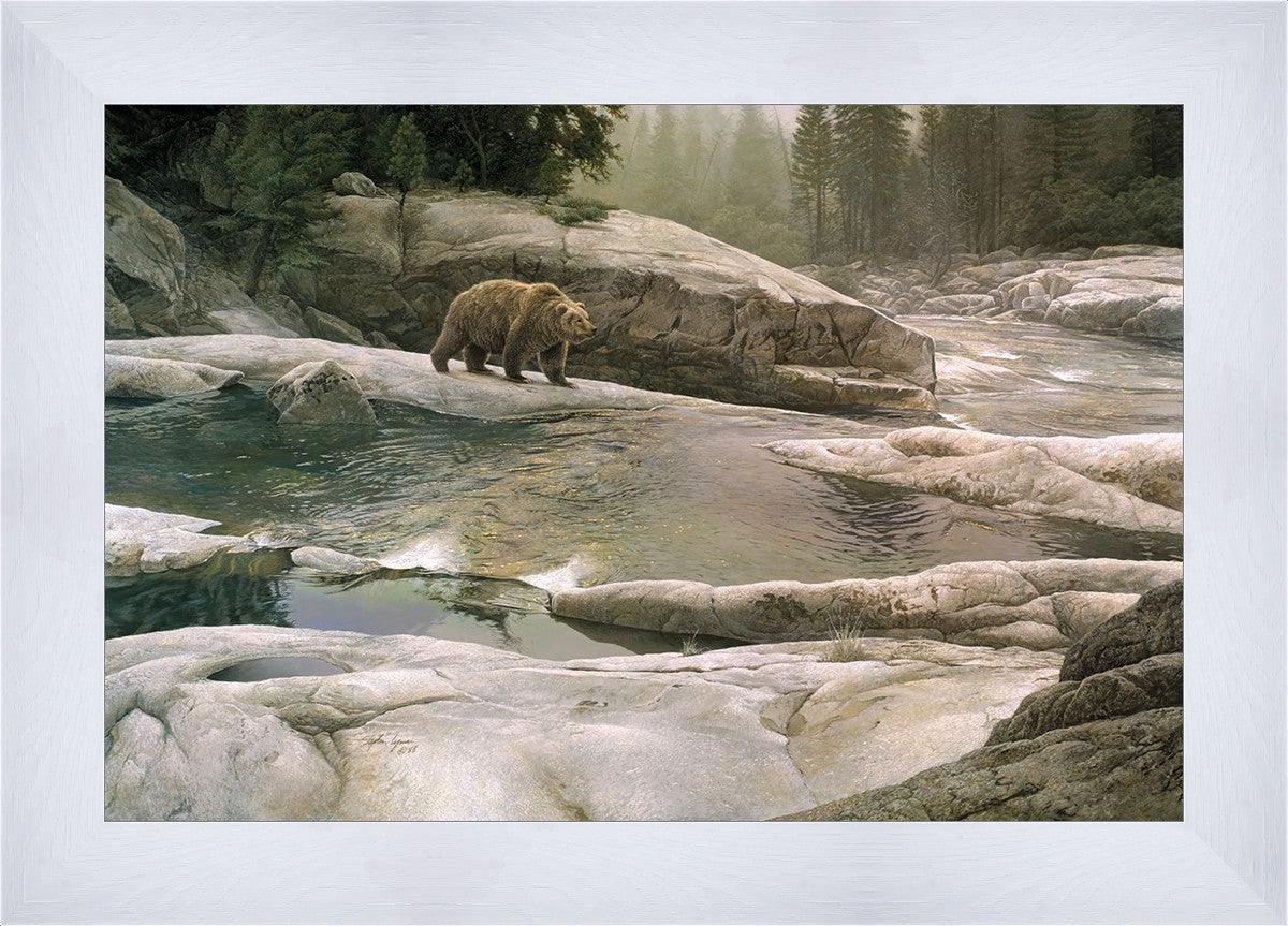 Uzumati - Great Bear of Yosemite
