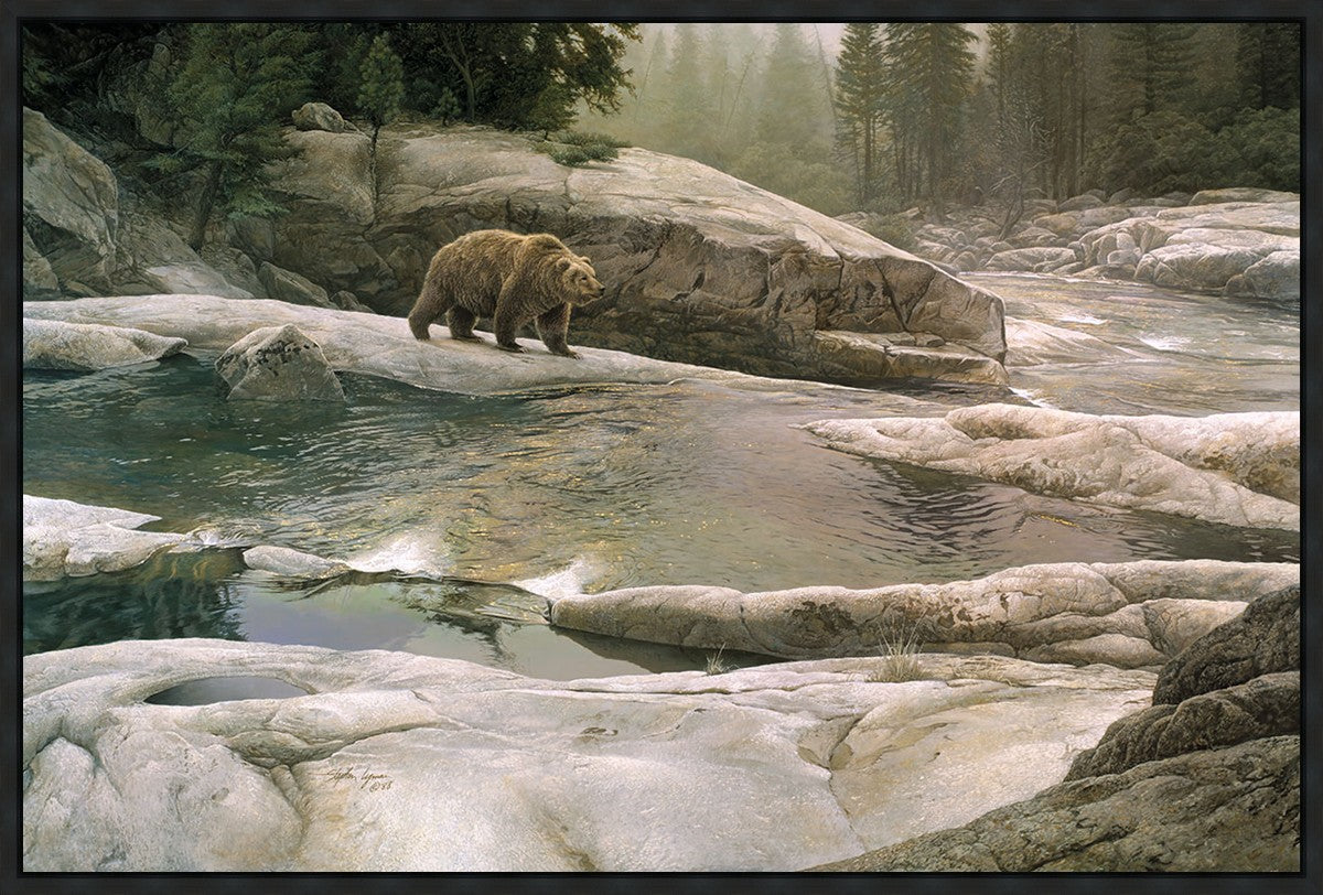 Uzumati - Great Bear of Yosemite