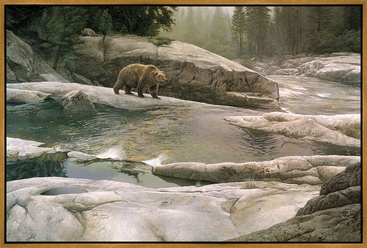 Uzumati - Great Bear of Yosemite