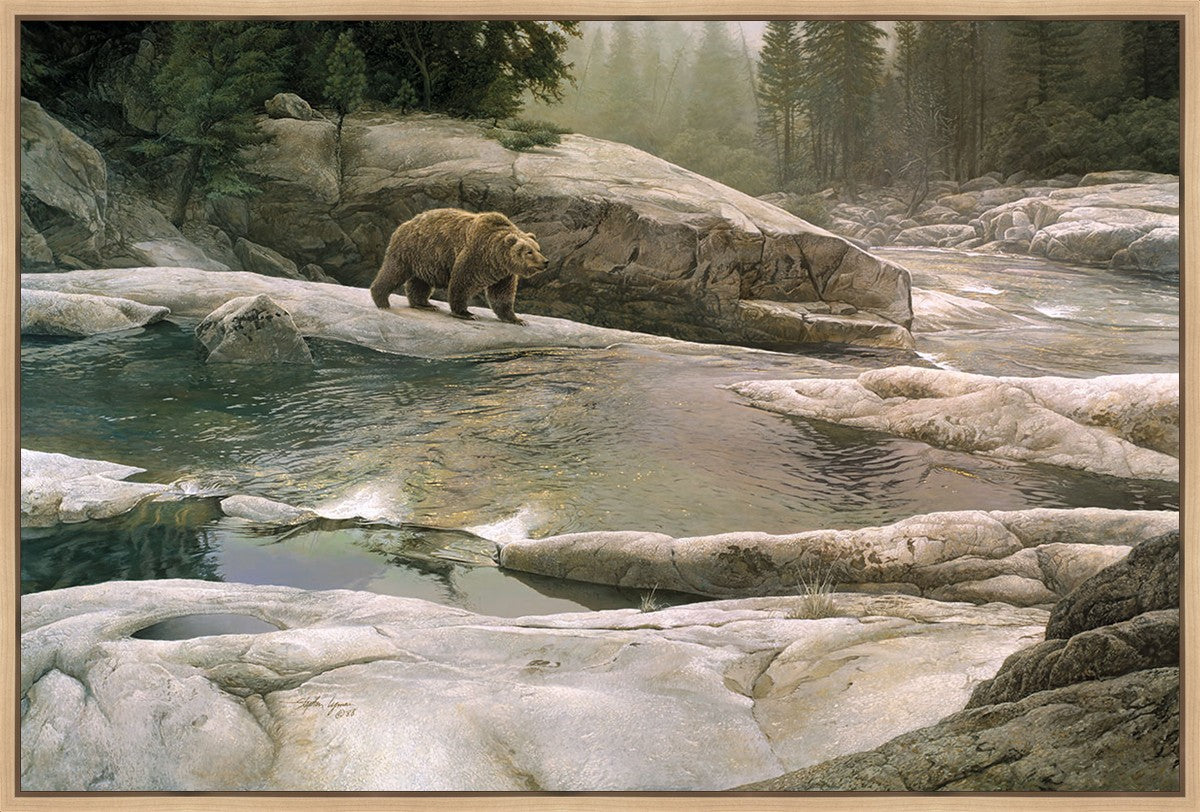 Uzumati - Great Bear of Yosemite