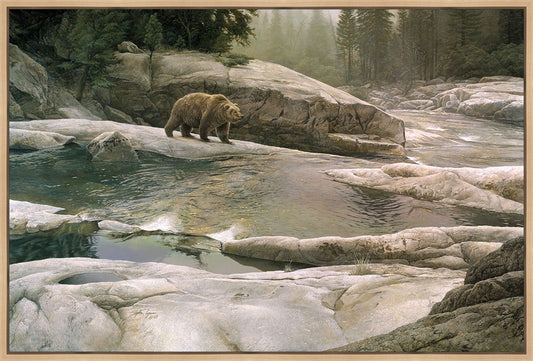 Uzumati - Great Bear of Yosemite