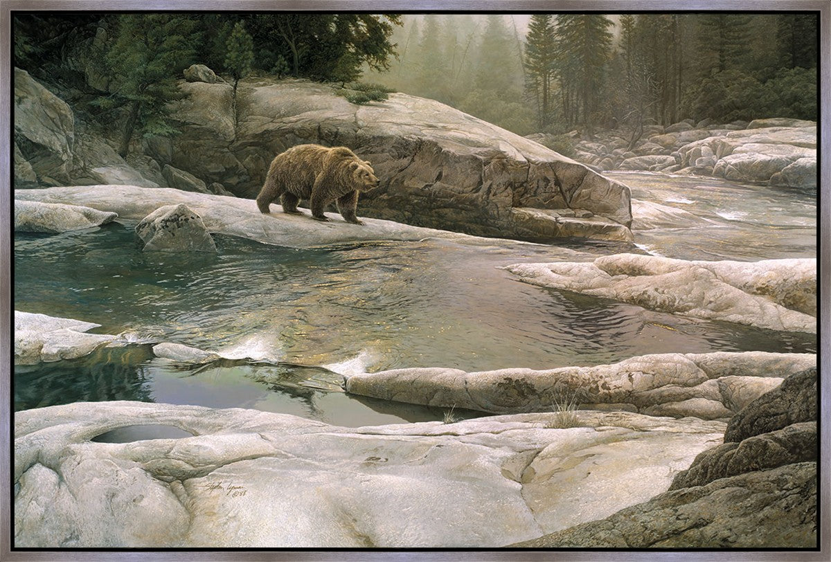 Uzumati - Great Bear of Yosemite