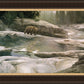 Uzumati - Great Bear of Yosemite
