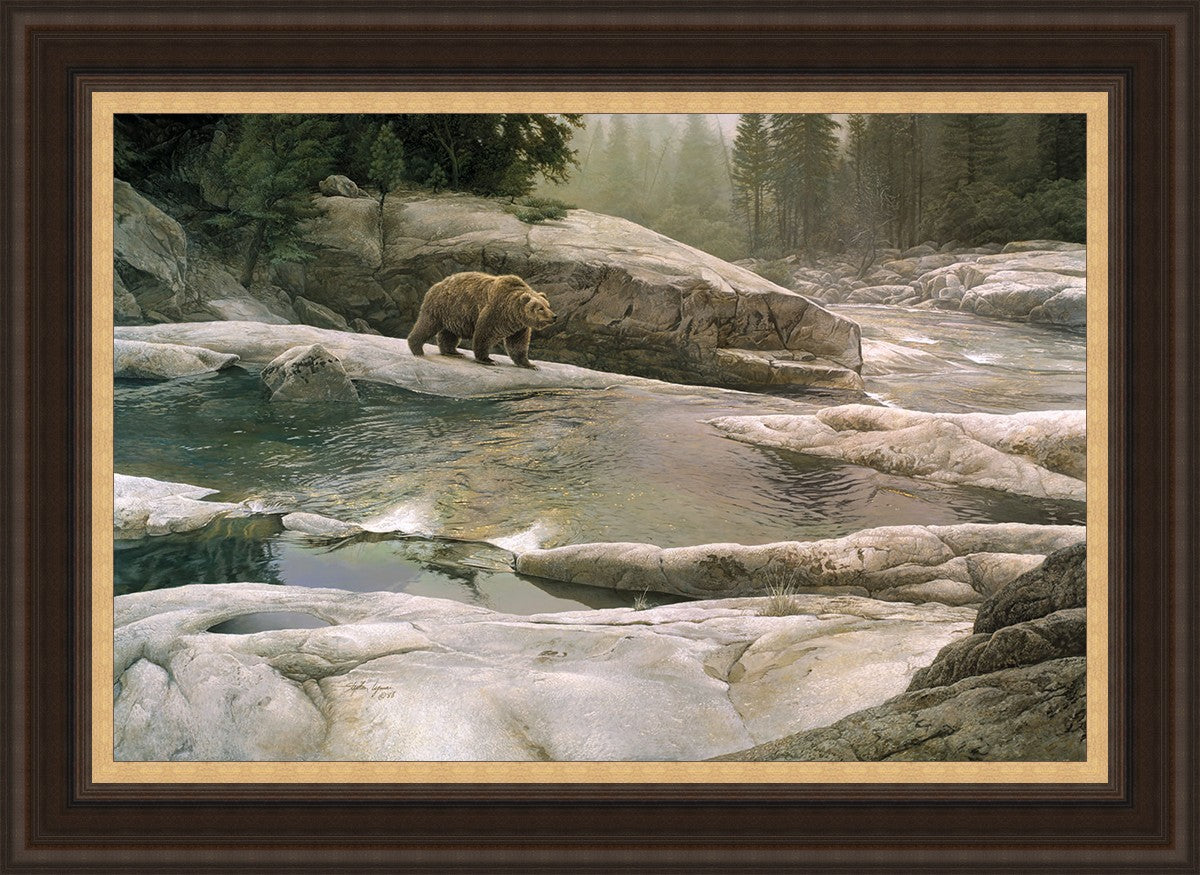 Uzumati - Great Bear of Yosemite