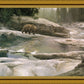 Uzumati - Great Bear of Yosemite
