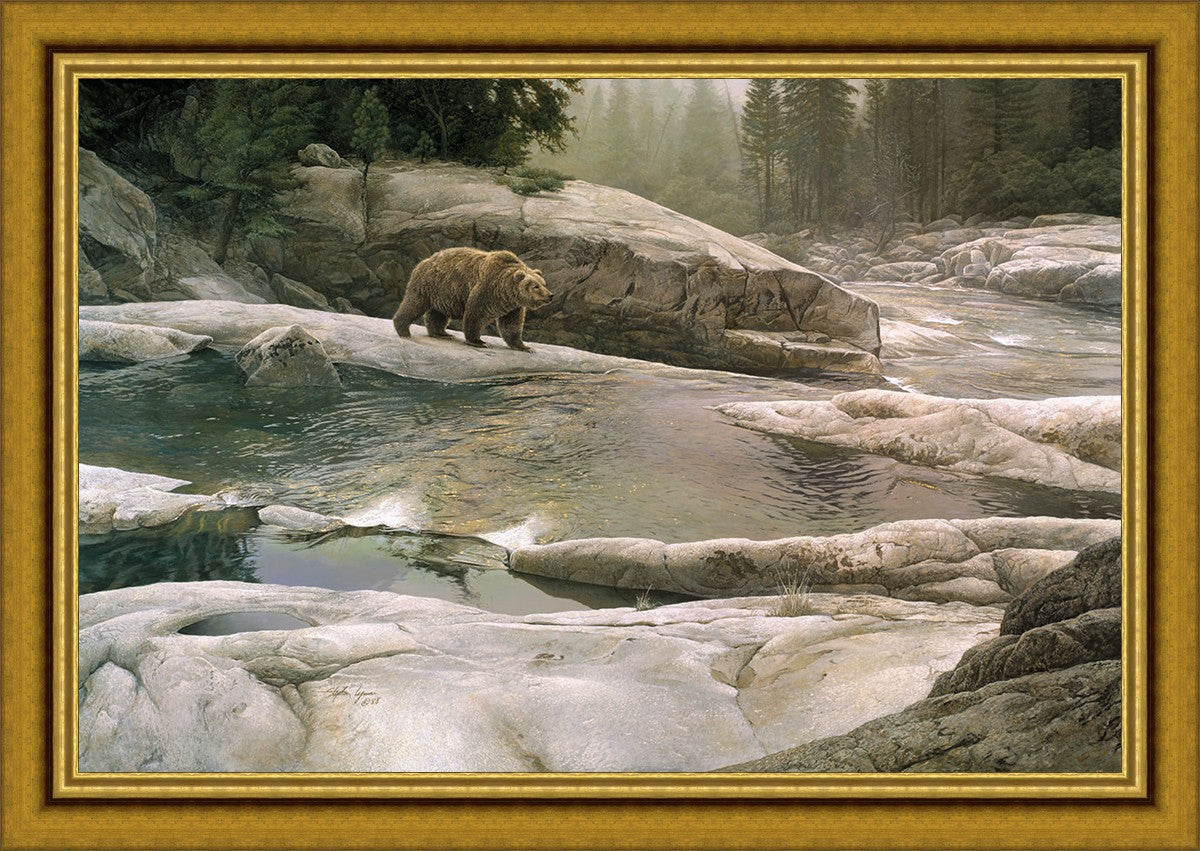 Uzumati - Great Bear of Yosemite