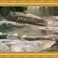 Uzumati - Great Bear of Yosemite