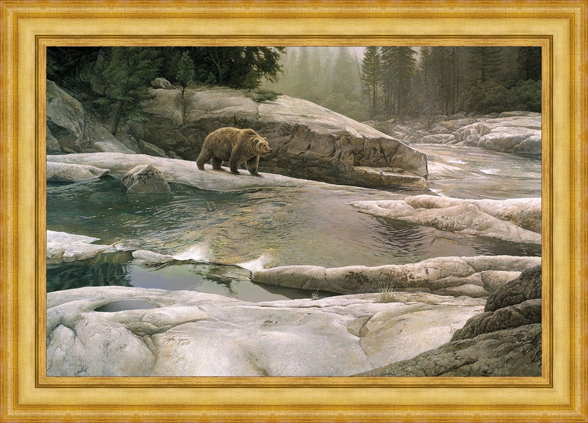 Uzumati - Great Bear of Yosemite