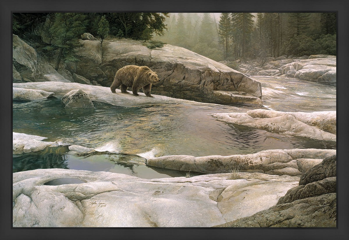 Uzumati - Great Bear of Yosemite