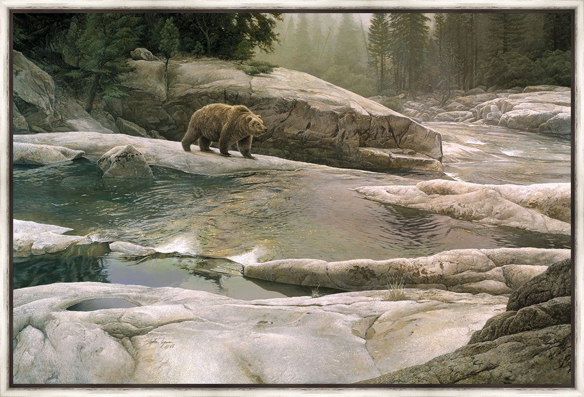 Uzumati - Great Bear of Yosemite