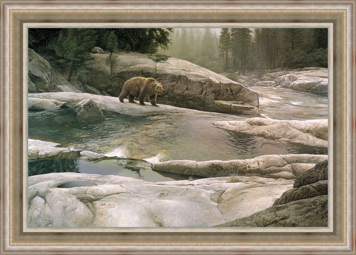 Uzumati - Great Bear of Yosemite