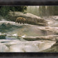 Uzumati - Great Bear of Yosemite