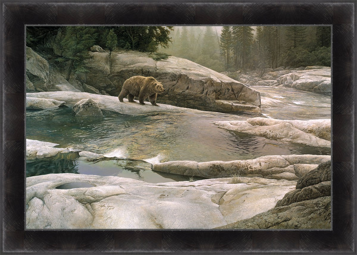 Uzumati - Great Bear of Yosemite