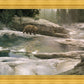 Uzumati - Great Bear of Yosemite
