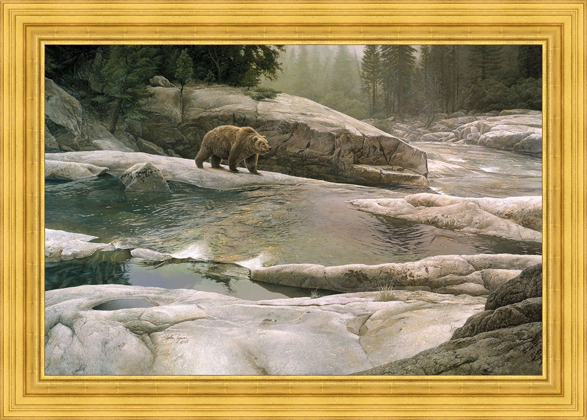 Uzumati - Great Bear of Yosemite