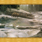 Uzumati - Great Bear of Yosemite
