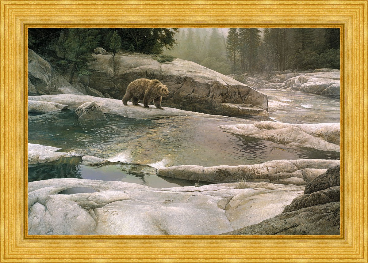 Uzumati - Great Bear of Yosemite