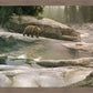 Uzumati - Great Bear of Yosemite