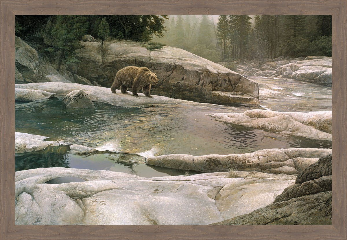 Uzumati - Great Bear of Yosemite
