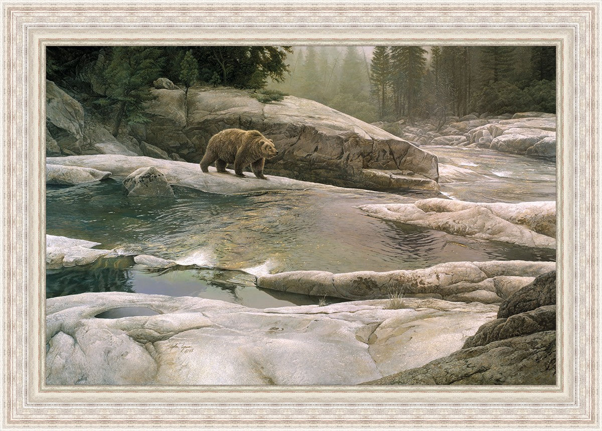 Uzumati - Great Bear of Yosemite